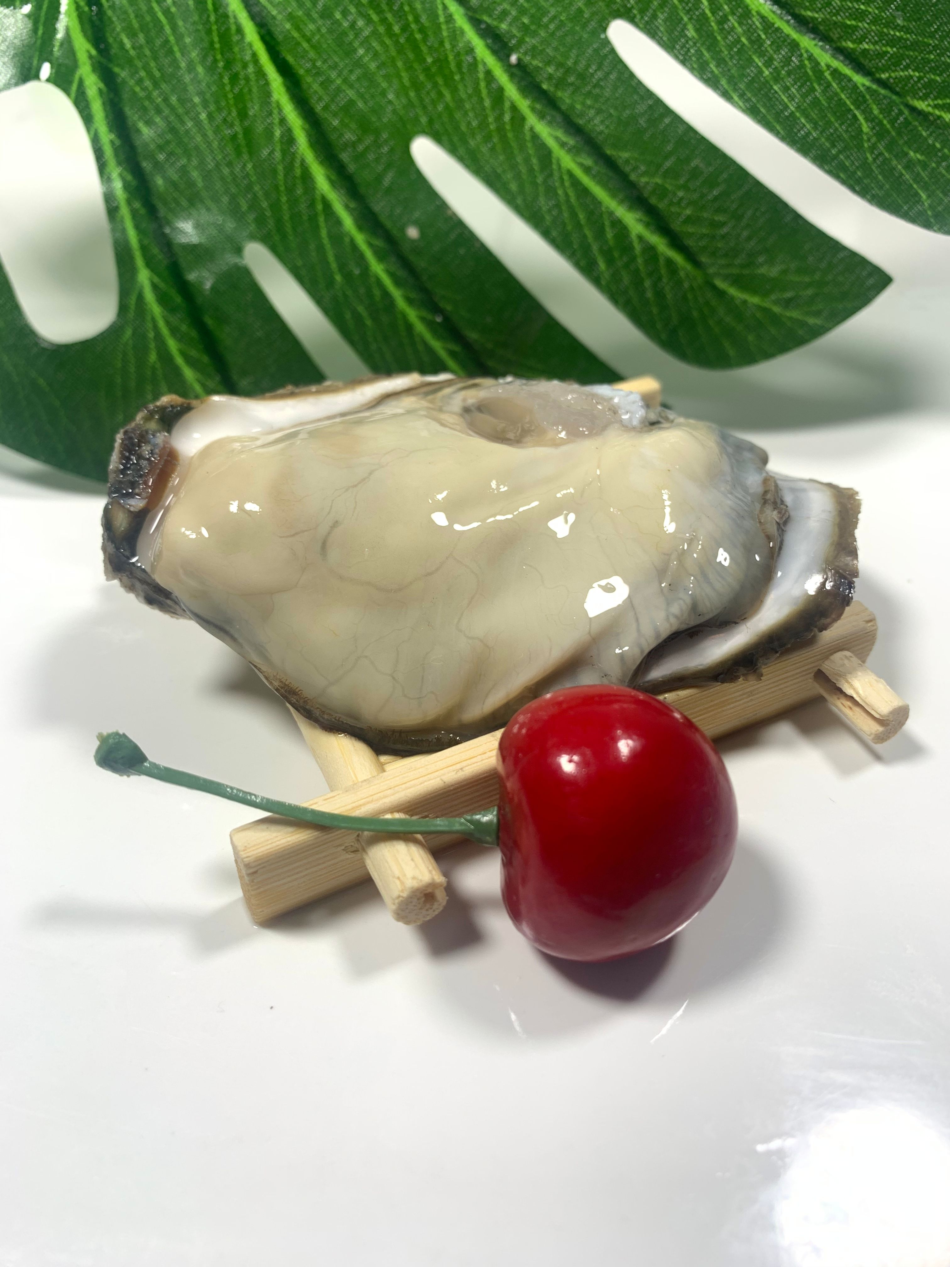 广东台山生蚝三倍体新鲜发货，口感鲜美，源头直供批发价，诚信