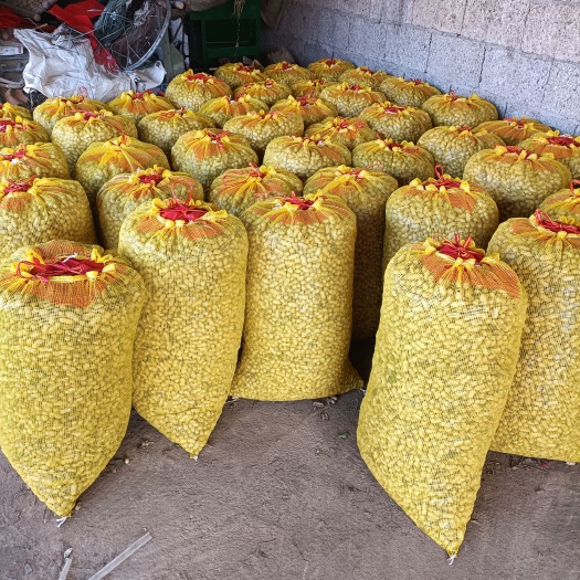 明光市小白沙花生鲜果，口感好吃，含水份少，品质也好，质量好。