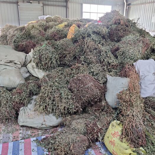 平塘县仙鹤草20吨
