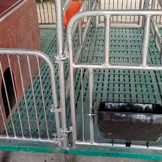 泊头市母猪双体产床 加厚热镀锌产床 多功能一床两用产保一体床