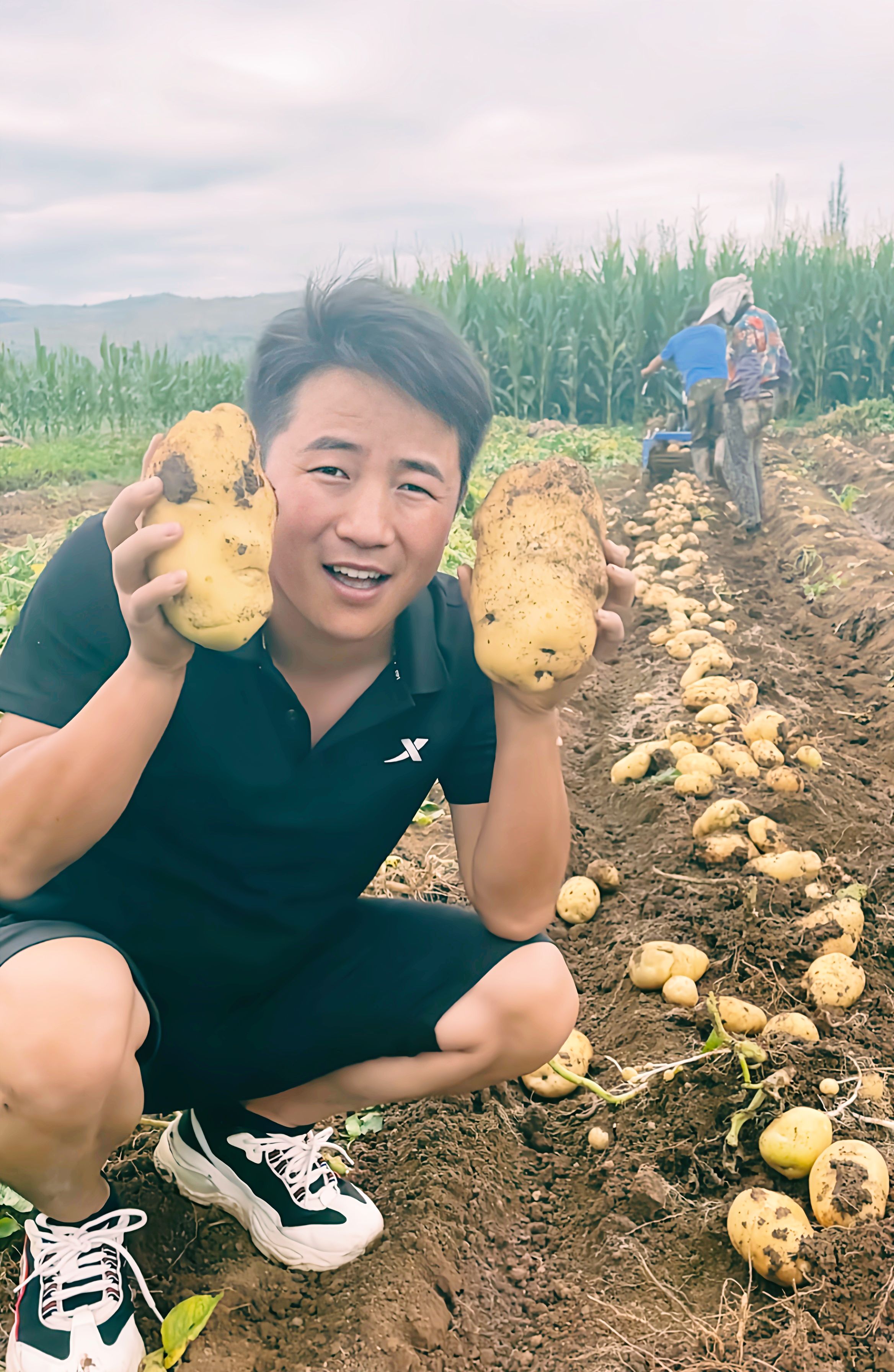 临洮县甘肃高原夏菜定西土豆马铃薯洋芋现挖黄心土豆