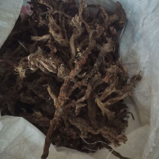 开阳县中药材菖蒲