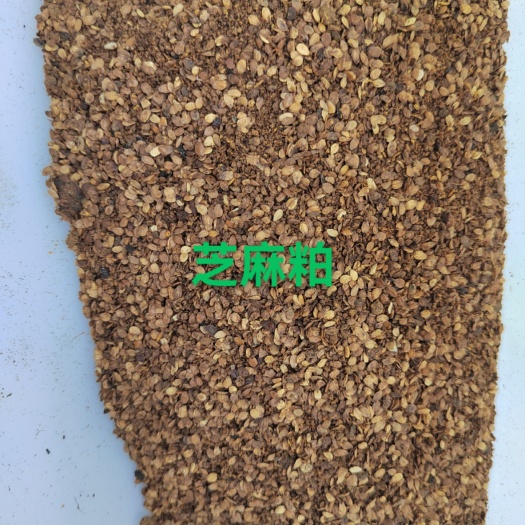 巨鹿县芝麻粕  蛋白43以上