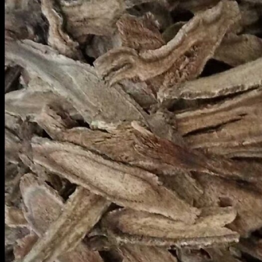 玉林选片木香过筛无粉沫，统货木香全干片形大，大量供应，批零兼营