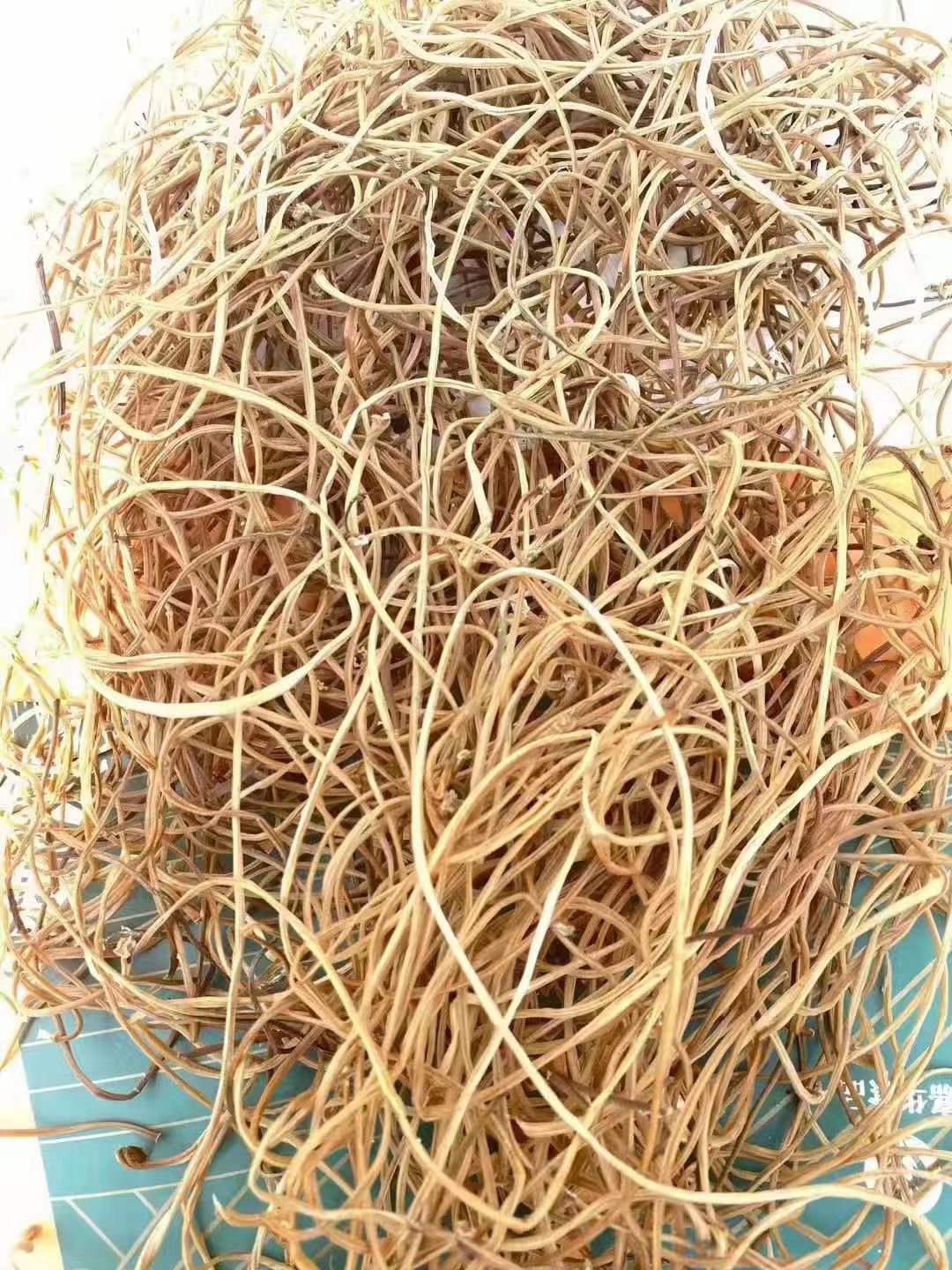 红薯梗