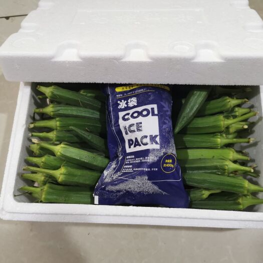 渭南水果秋葵