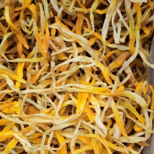 黄花菜