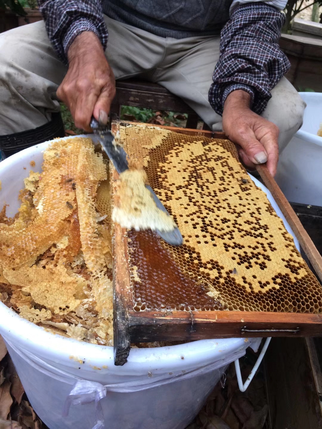 平南隴西蜂業(yè)蜂蜜