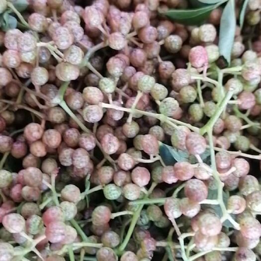 合阳县鲜青花椒
