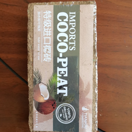 寿光市精品650g网红小椰砖