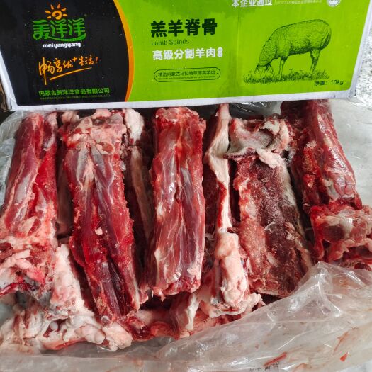 济南羔羊脊骨