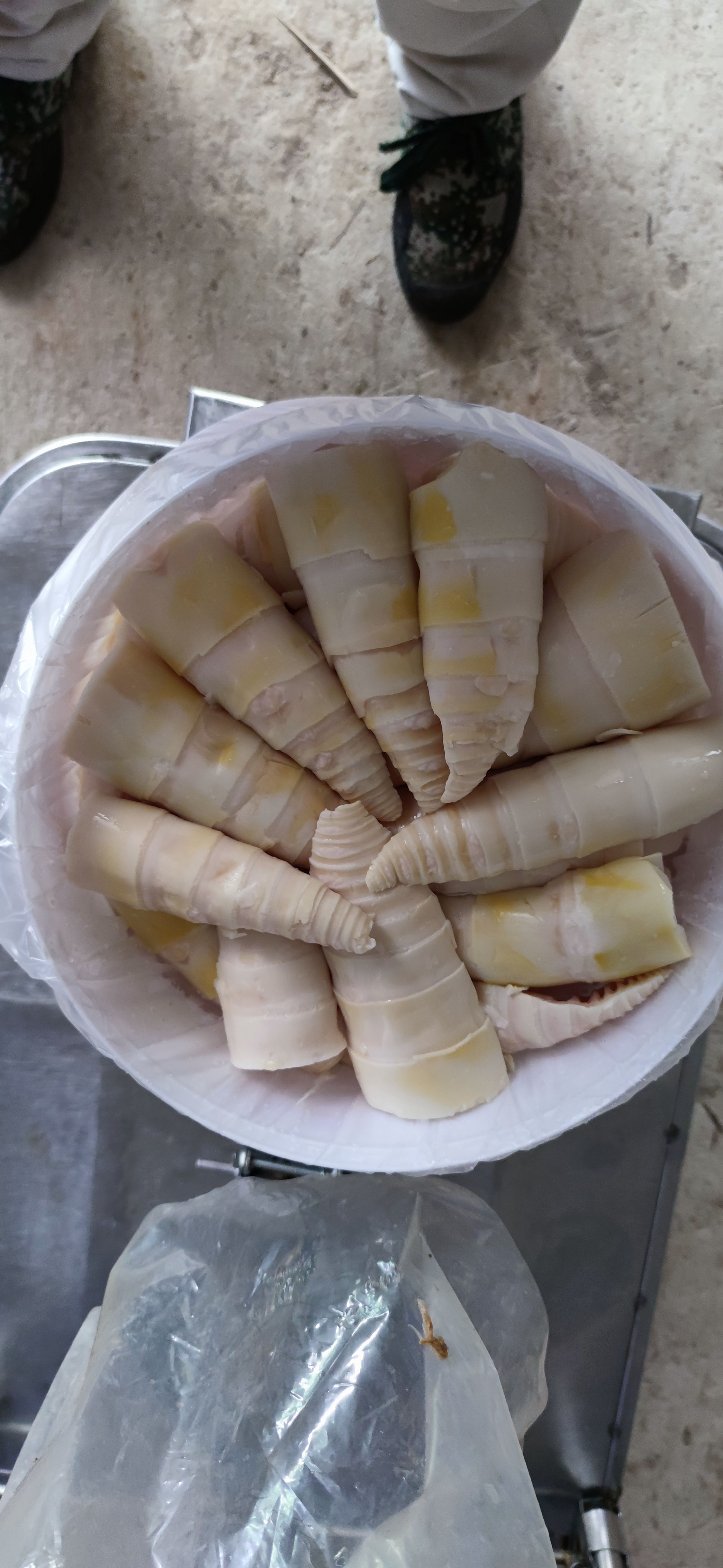 笋芽，笋尖，笋丝。产地广西桂林大山里