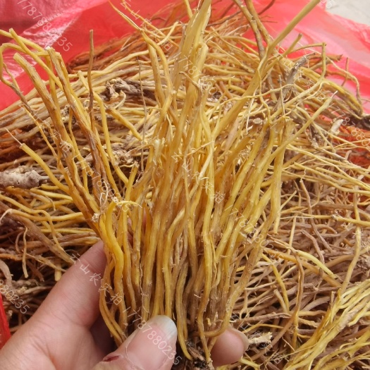 云南龙胆草中药材苦胆草龙胆整颗水洗无硫新货干货