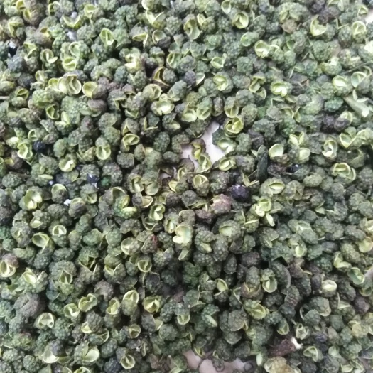 永善县青花椒