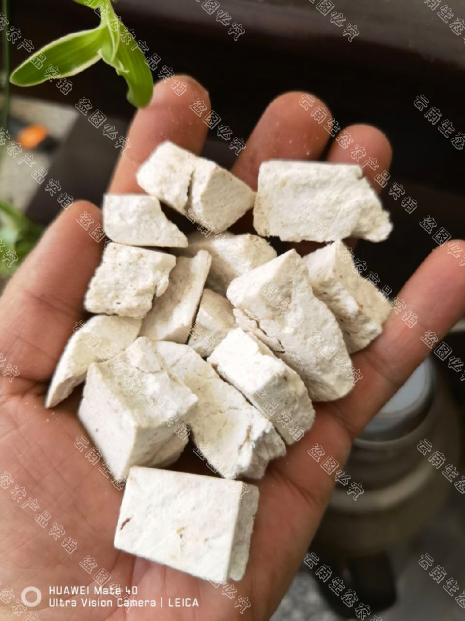 云南白茯苓 伏神 无硫  自产自销  无中间商 欢迎咨询