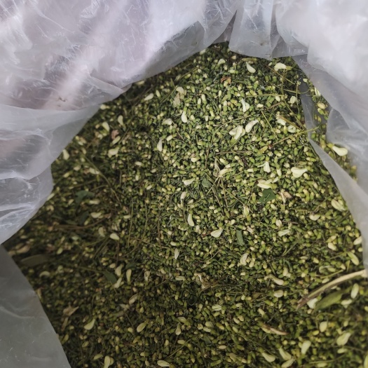 莱西市山东槐米