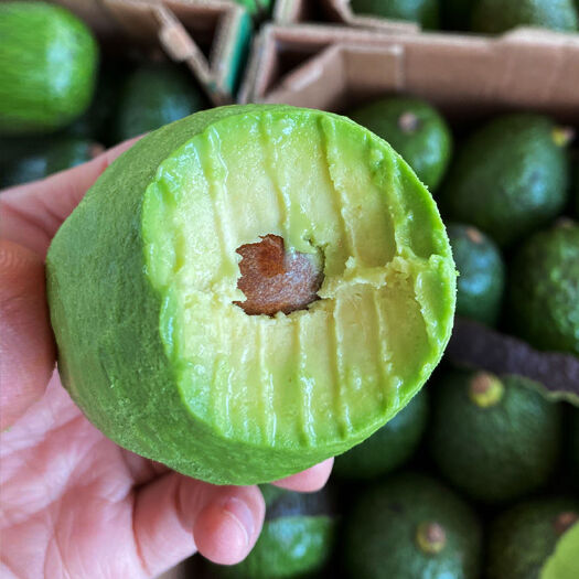 广州墨西哥牛油果2-15个新鲜水果当季熟透即食鳄梨