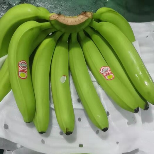 上海刚卸柜的青蕉～懂行的老板都会选，对接全国各地批发商～大型超市