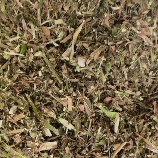 天津青储，玉米秸秆