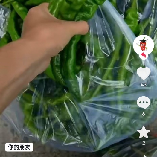 永顺县螺丝椒