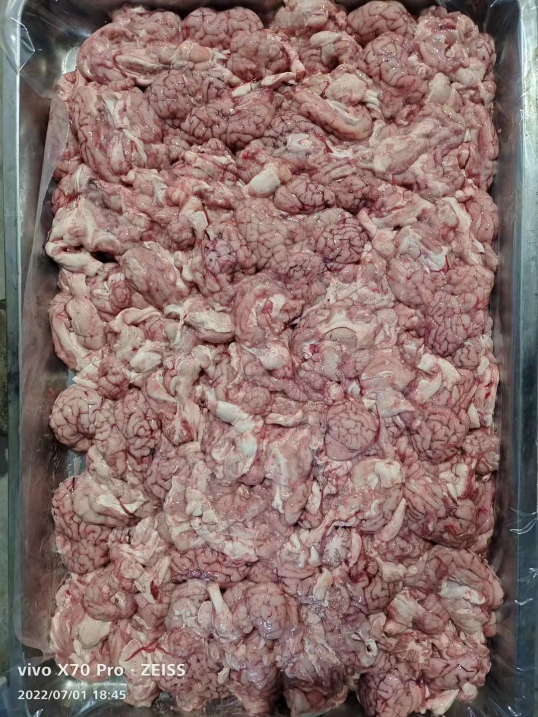 羊脑，鲜冻羊脑，。长期有货。羊汤馆食材。
