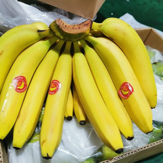 上海蕉选品质、对接全国各地批发商、大型超市、赶大集、摆摊