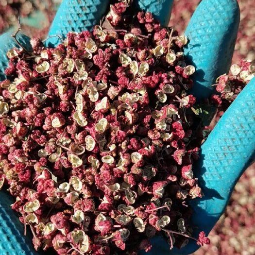 陇南大红袍花椒