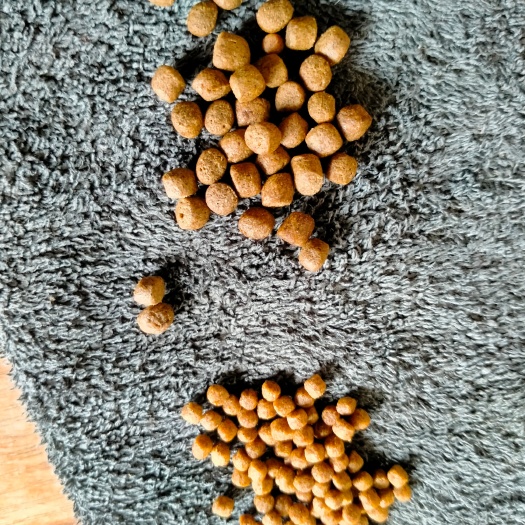 钦州厂家销售罗非，草鱼，虾，蛙，猪，鸭，鸡料等