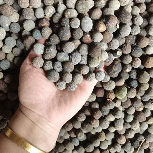 资中县枳实，圆个，各种规格，
