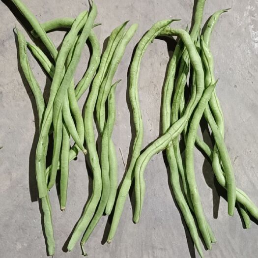 秦安县新鲜架豆王出售