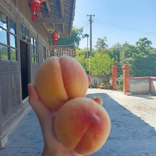 中方县锦绣黄桃