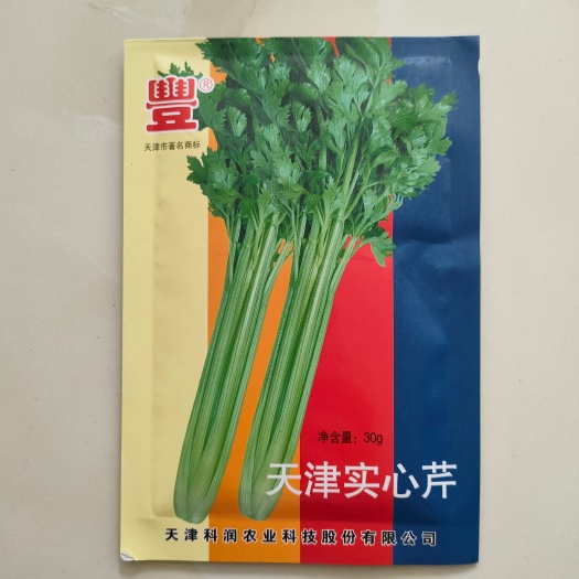 湘乡市天津实心芹菜种子 早熟香味浓纤维少产量高 30克