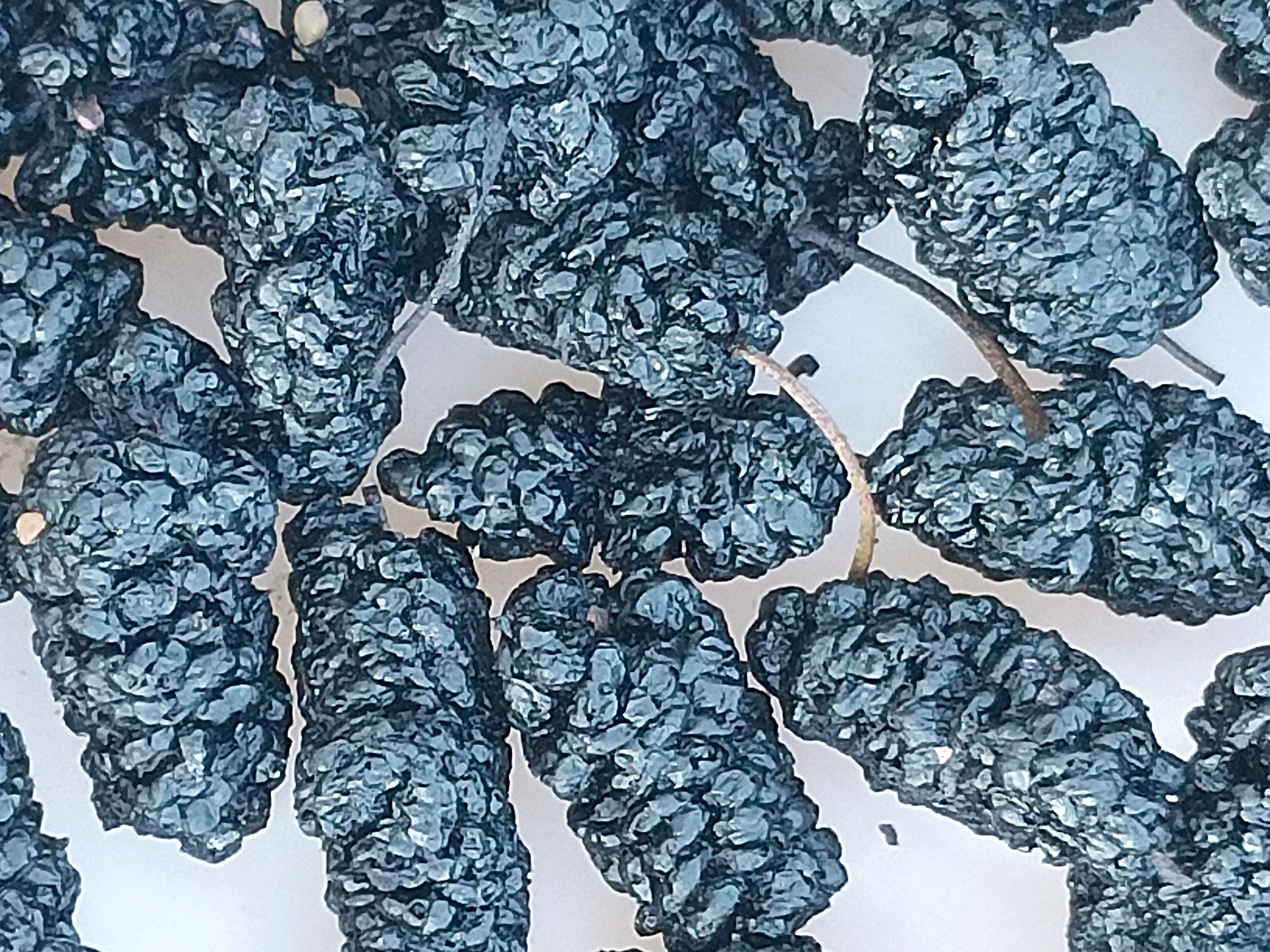 新疆桑椹干，颗大饱满，干货味道好