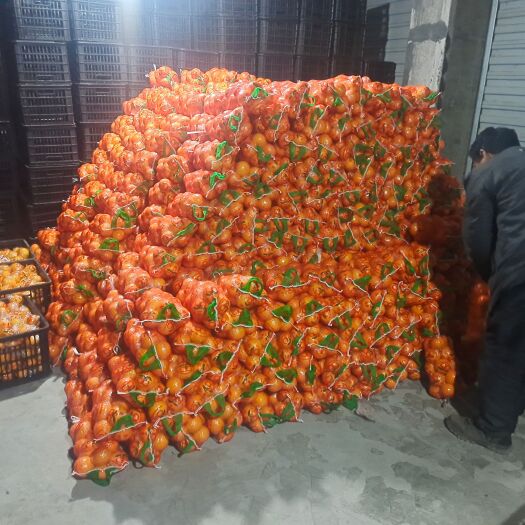 洪江市湖南黔阳优质冰糖橙产地直销（大量供应优质65以上大果冰糖橙）