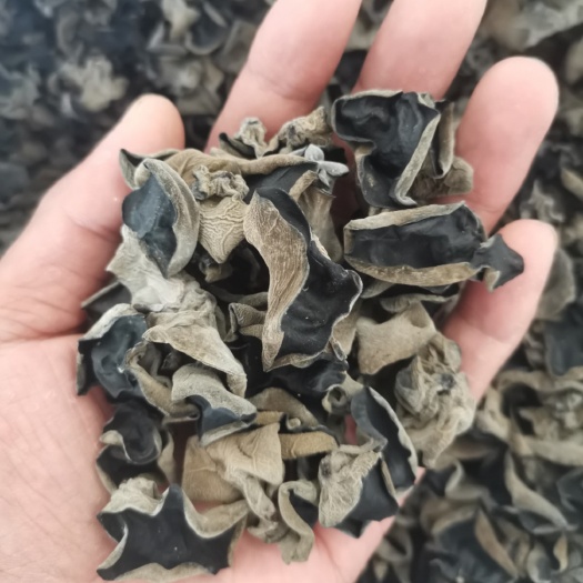 黑龙江大地黑木耳黑厚型好高泡发圆边1.5规格东北黑木耳秋木耳