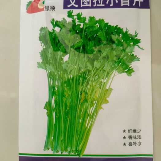 湘乡市小香芹芹菜种子 文图拉小香芹种子 耐寒耐热产量高10克