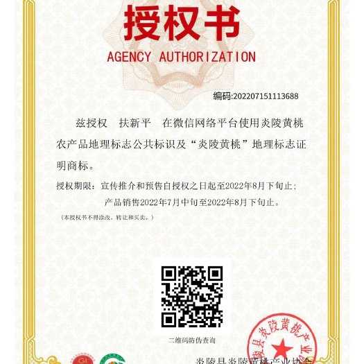 炎陵县黄桃 湖南省株洲市炎陵县