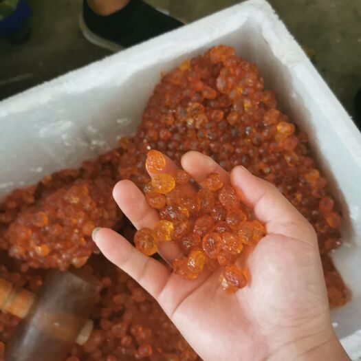枣阳市精品桃胶