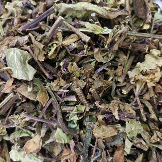玉林猫须草茶肾茶云南西双版纳男肾精茶中药材批发