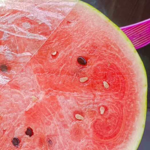 长沙县麒麟瓜 皮薄 基地在长沙万家丽路边上