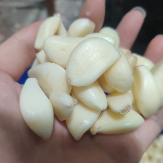 重庆市新鲜大蒜米，绿色无任何药水侵泡