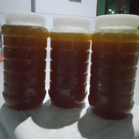 云霄县土蜂蜜山上找