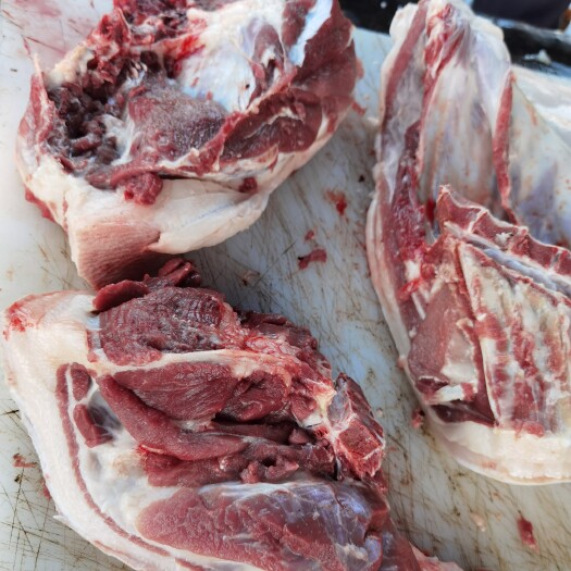 龙川县长期出售全散放养跑山猪肉