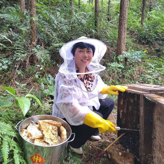 安仁县大山深处土蜂蜜，一年只割一次蜜，毁巢取蜜，远离工业城市。
