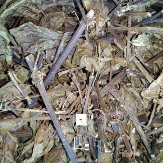 罗城县中草药材火炭母产地货源大货供应，量大从优(包邮)
