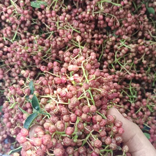 灵宝市大量梅花椒