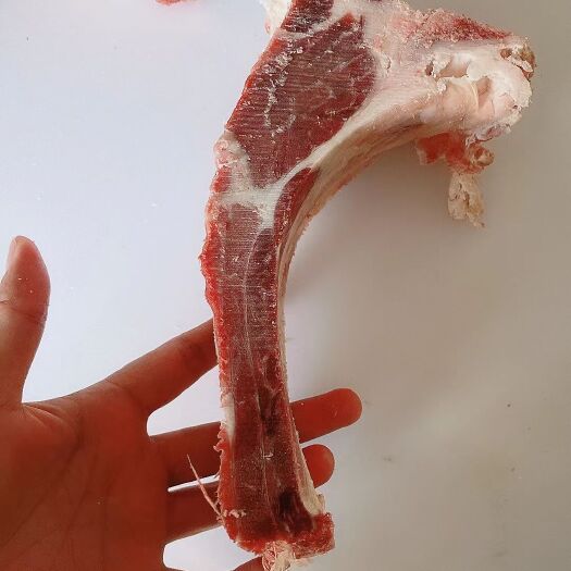 牛脊骨