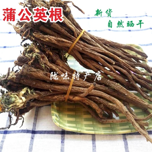 花草茶 蒲公英根批发多年生长蒲公英根含量高