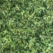 宿州玉米秸秆青贮黄贮大量有货需要的联系