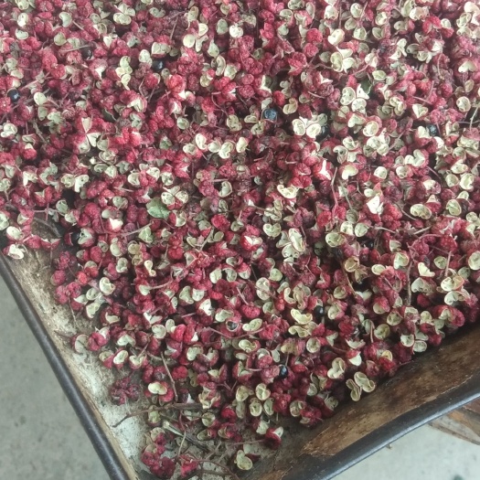 陇县花椒，大红袍